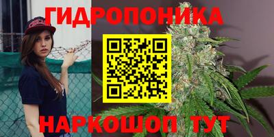 молекула духа Шебекино
